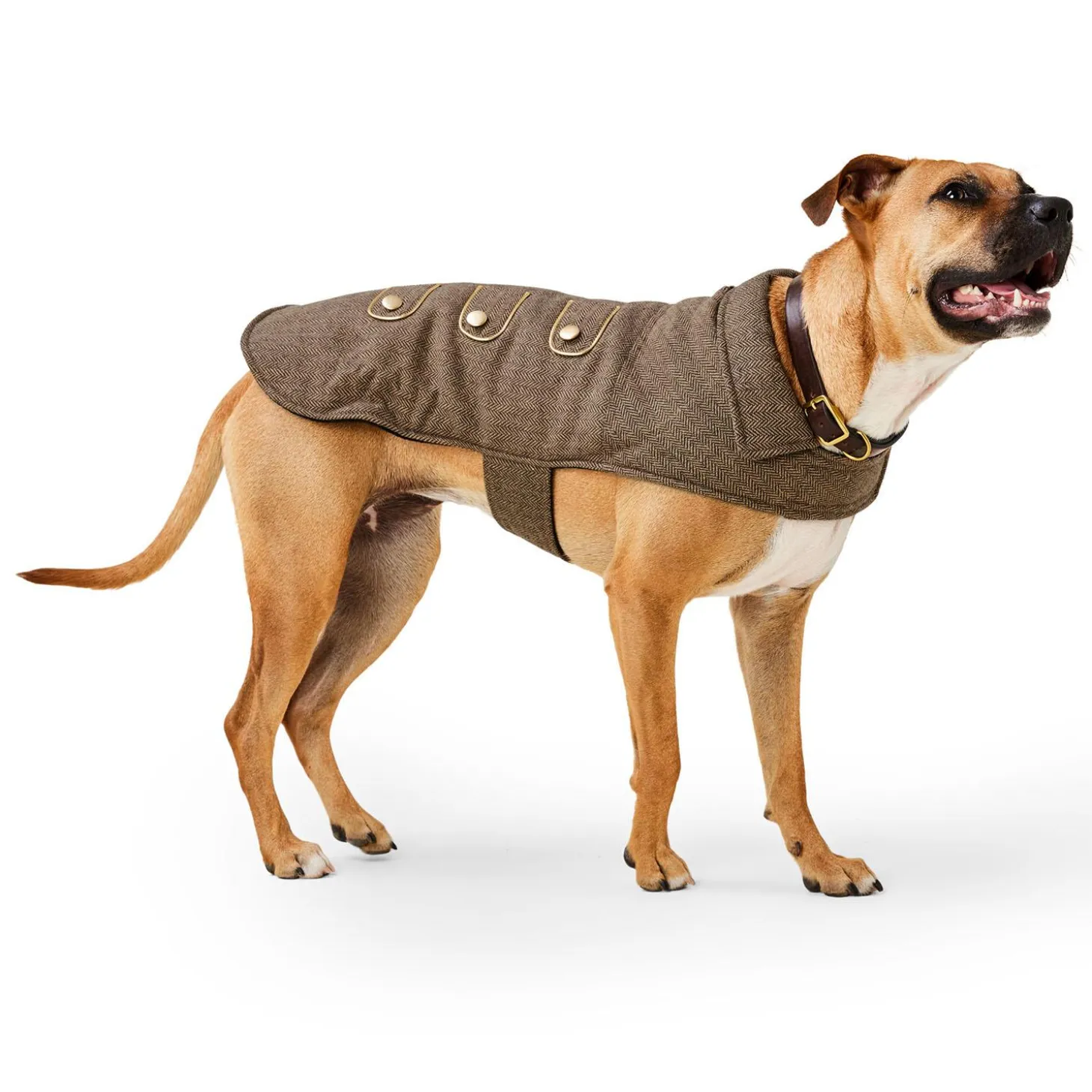 Brown Tweed Coat