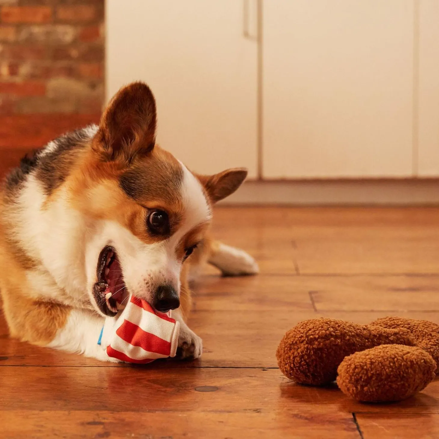 Bucket o'Fried Licken Dog Toy