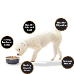 Butcher's Select Raw Chicken, Turkey & Beef Dinners Adult Dog Food