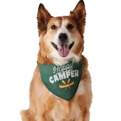 Camp Bandana