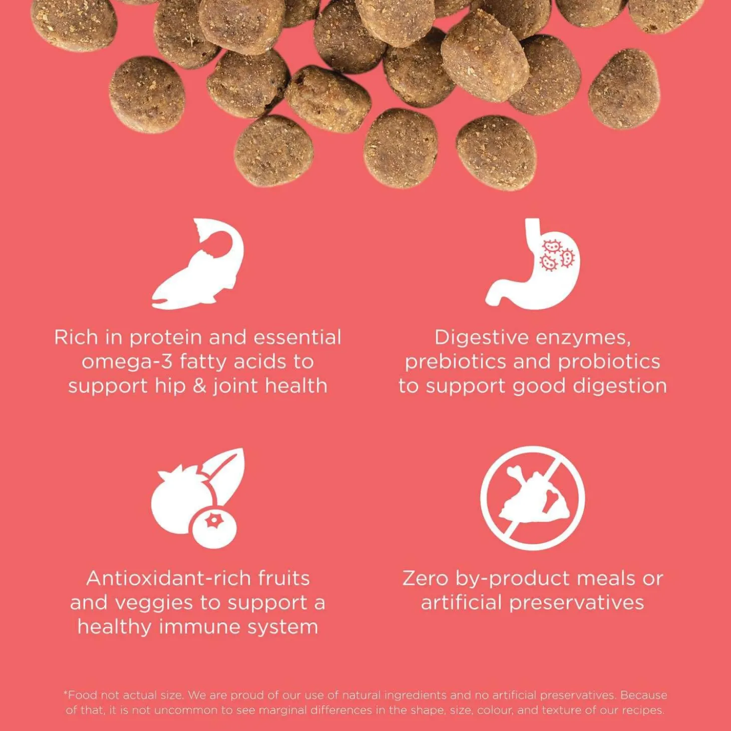 Carnivore Grain-Free Salmon + Cod Recipe Dog Food