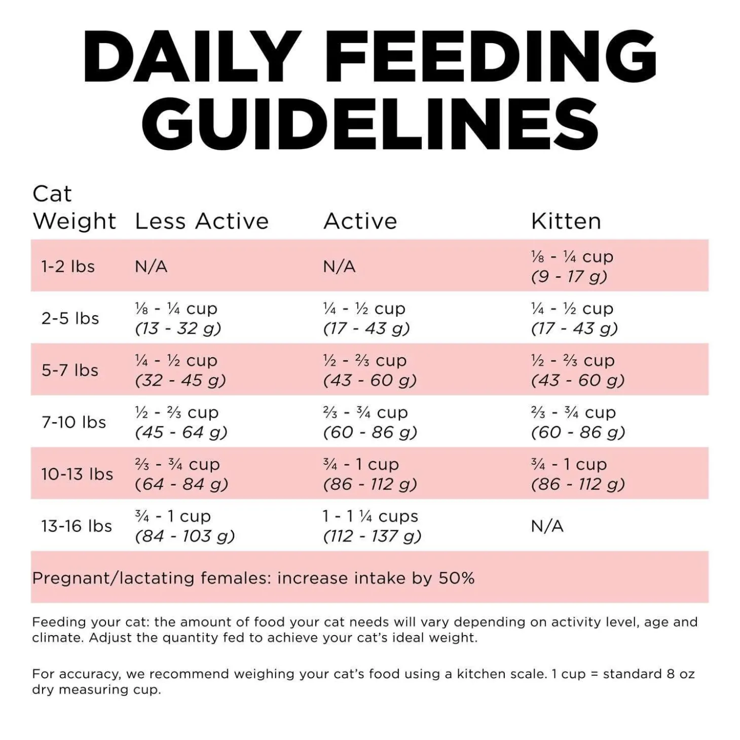 Carnivore Grain-Free Salmon + Cod Recipe Cat Food