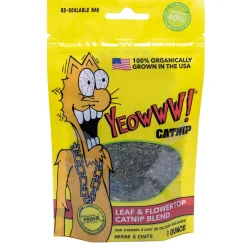 Catnip