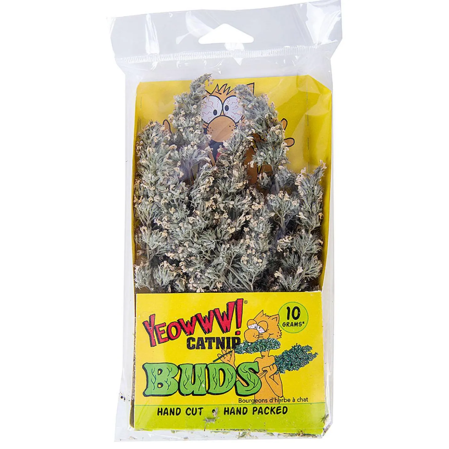 Catnip Buds