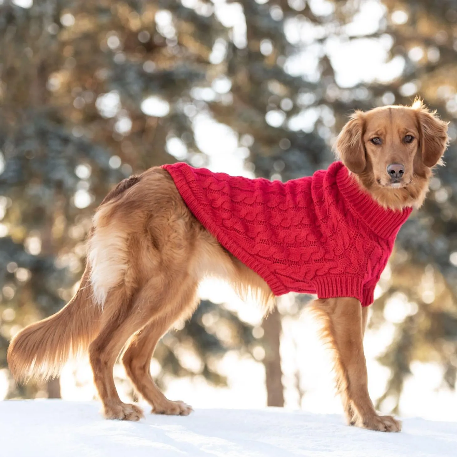 Chalet Red Sweater