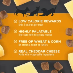 Chewy with Cheddar Dog Treats