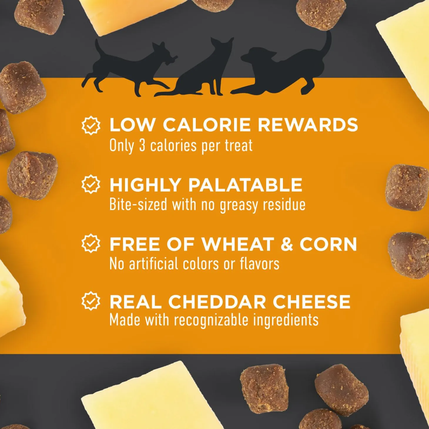 Chewy with Cheddar Dog Treats