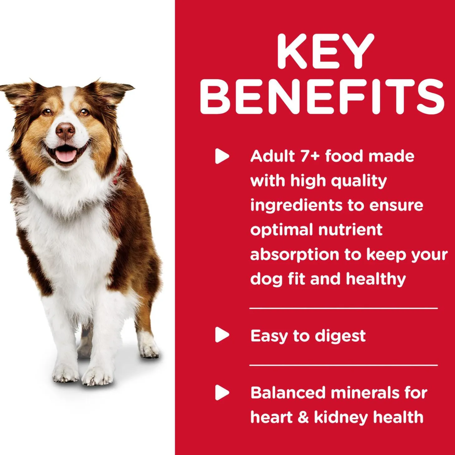 Chicken & Barley Entree Adult 7+ Dog Food