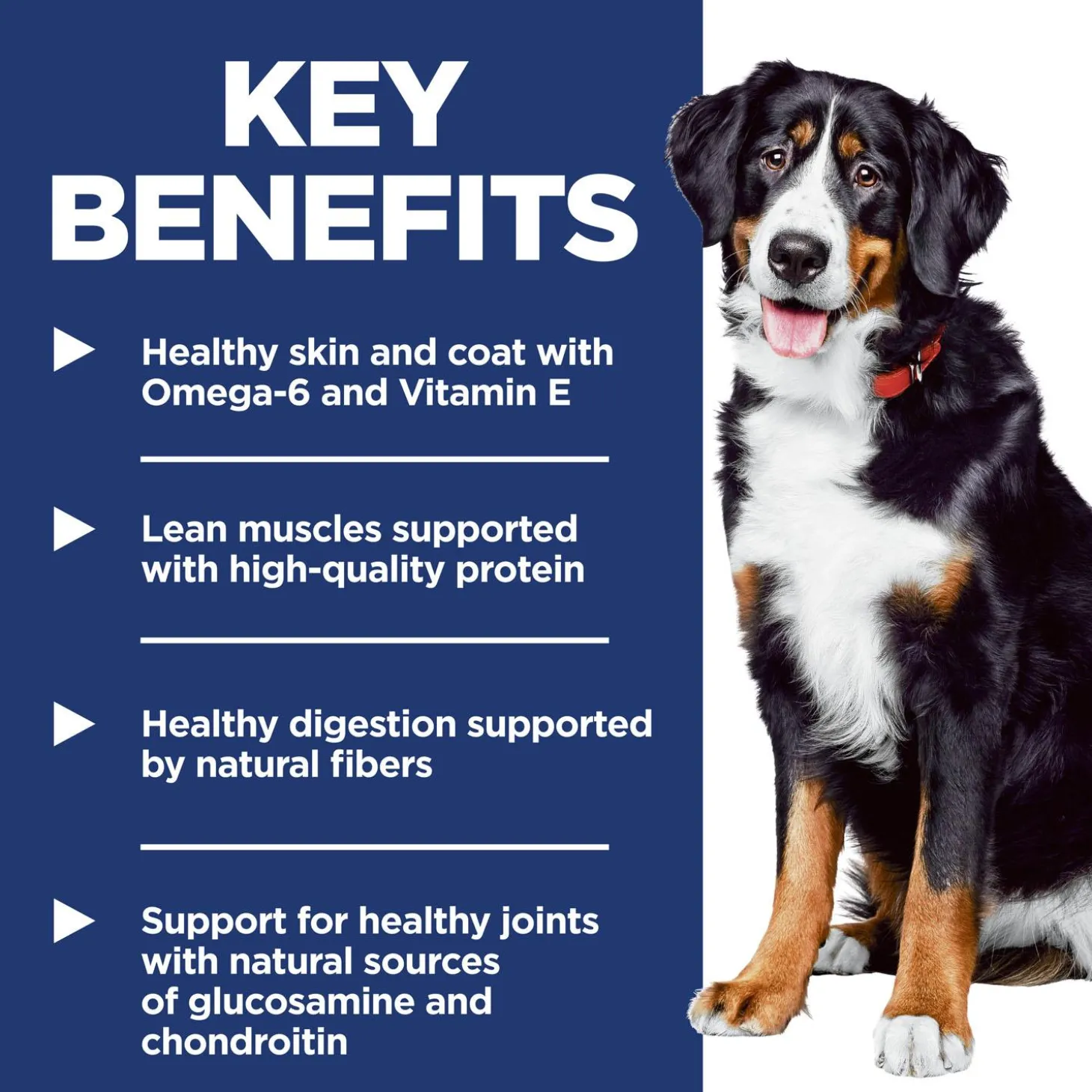 Chicken & Barley Recipe Large Breed Adult Dog Food