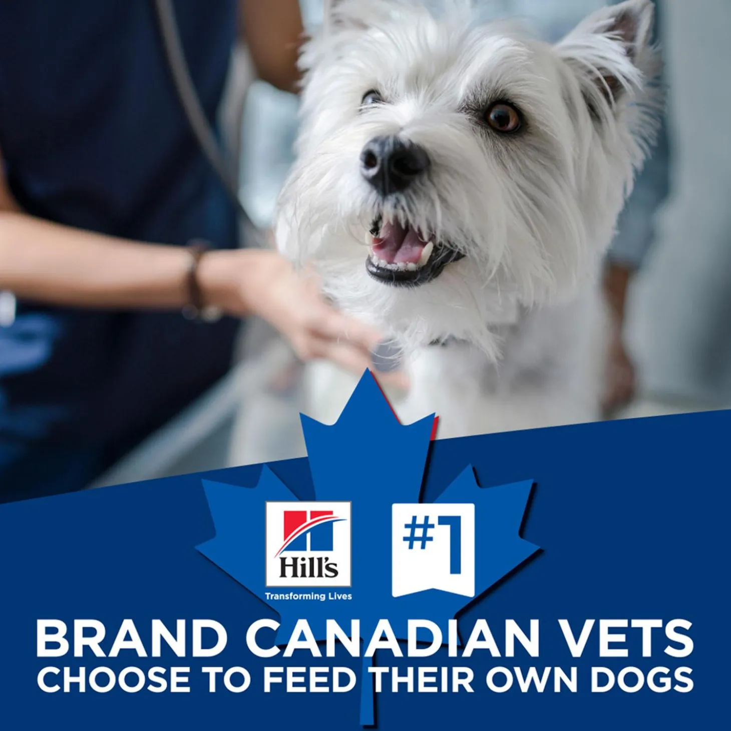 Chicken & Barley Recipe Large Breed Adult Dog Food
