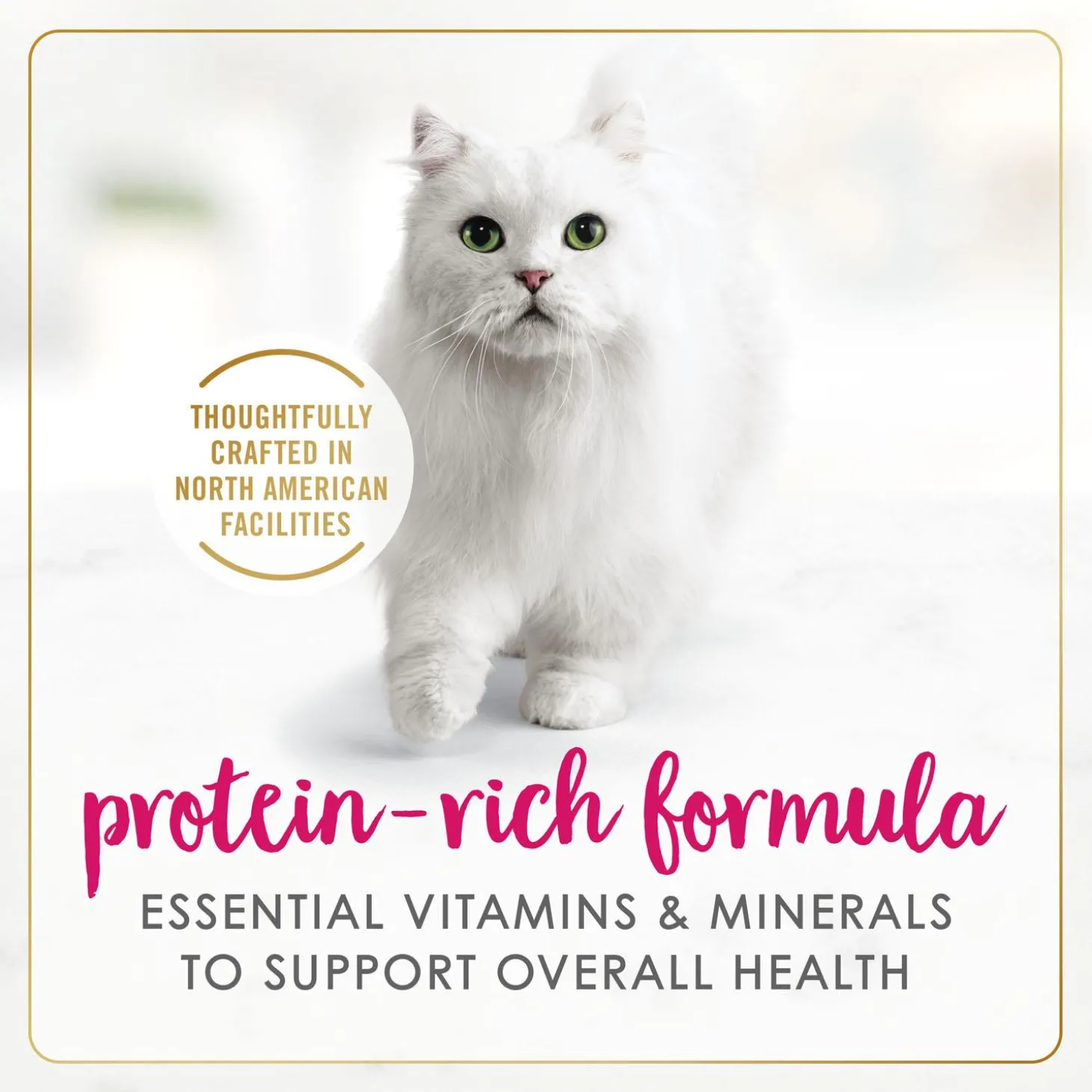 Chicken Feast Pate Adult Cat Food