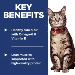 Chicken Recipe Adult Cat Food