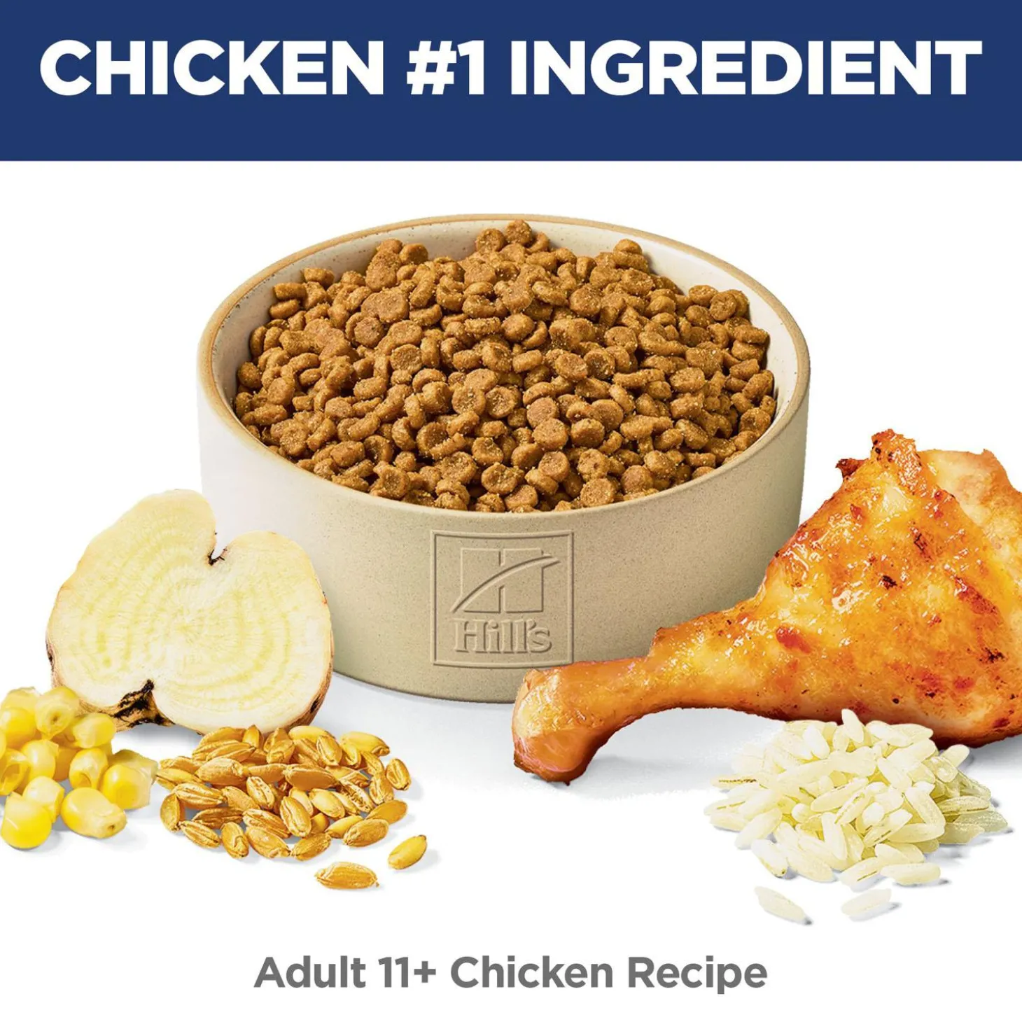 Chicken Recipe Adult 11+ Cat Food