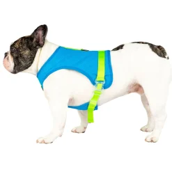 Chill Seeker Blue Cooling Harness