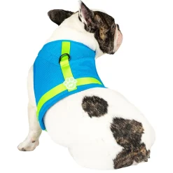 Chill Seeker Blue Cooling Harness