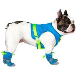 Chill Seeker Blue Cooling Harness