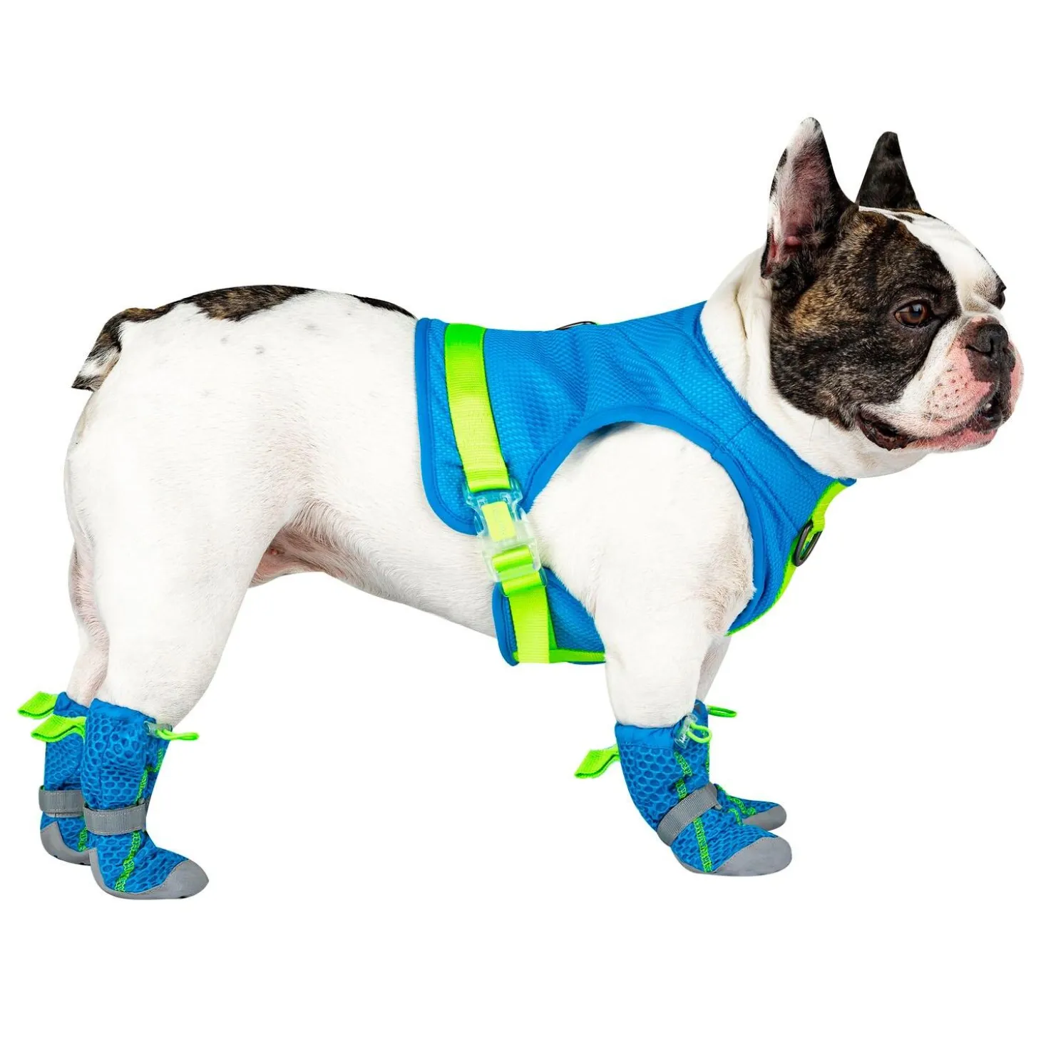 Chill Seeker Blue Cooling Harness