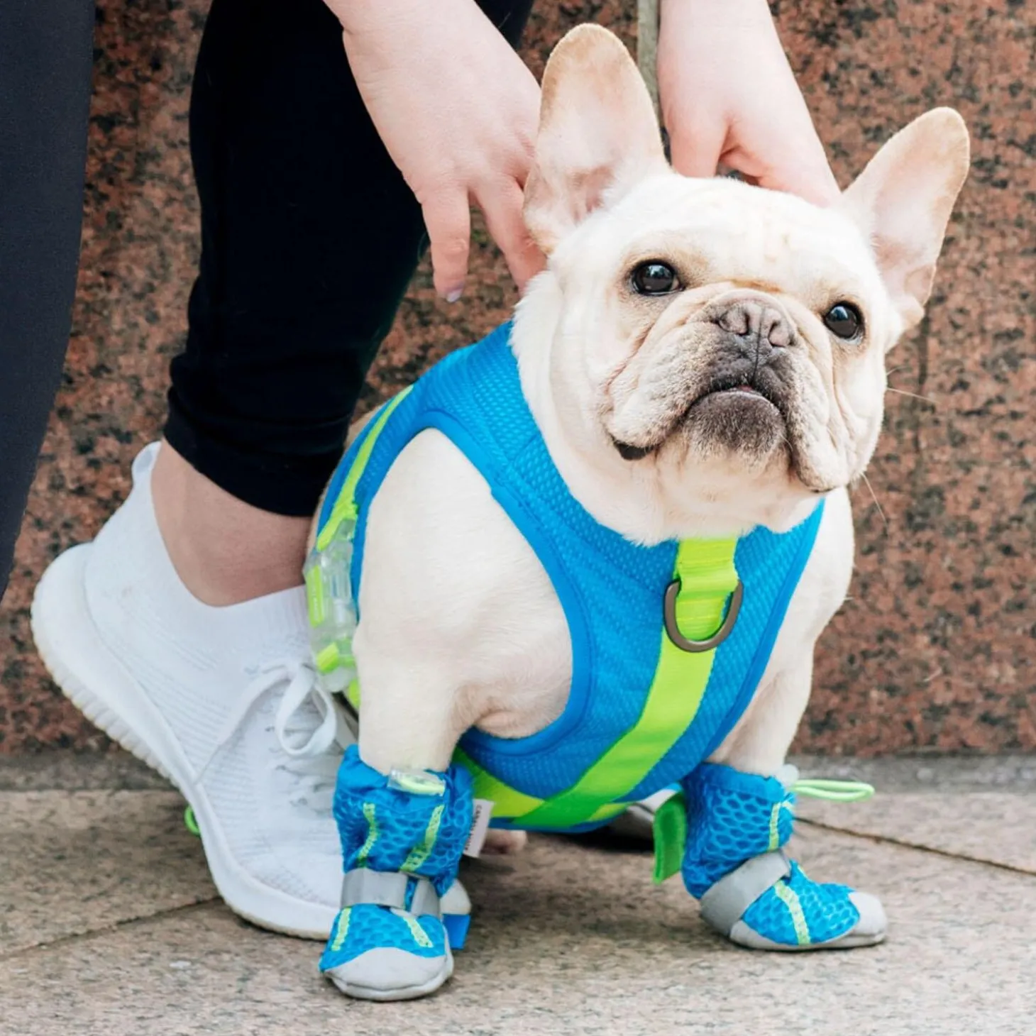Chill Seeker Blue Cooling Harness