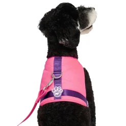 Chill Seeker Neon Pink Cooling Harness