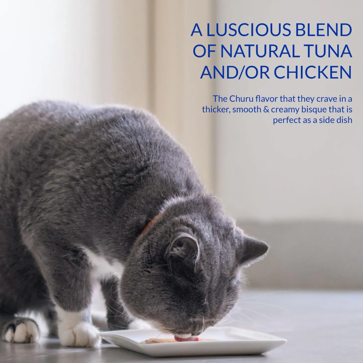 Churu Bisque Tuna Recipe Cat Food Topper