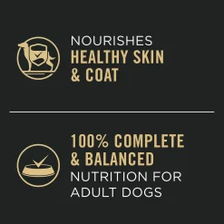 Classic Complete Essentials Beef & Rice Entree Adult Dog Food