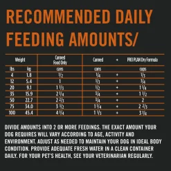 Classic Complete Essentials Beef & Rice Entree Adult Dog Food