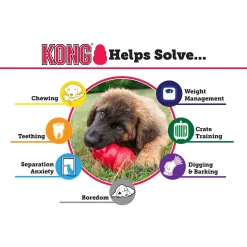 Classic Dog Toy