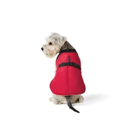 Classic Red Blanket Coat