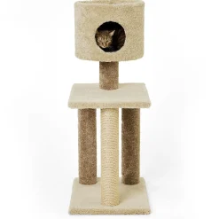 Coco Tree Kitty Condo
