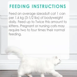 Cod, Sole & Shrimp Feast Pate Adult Cat Food