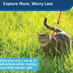 Come With Me Kitty Red Cat Harness & Bungee Leash