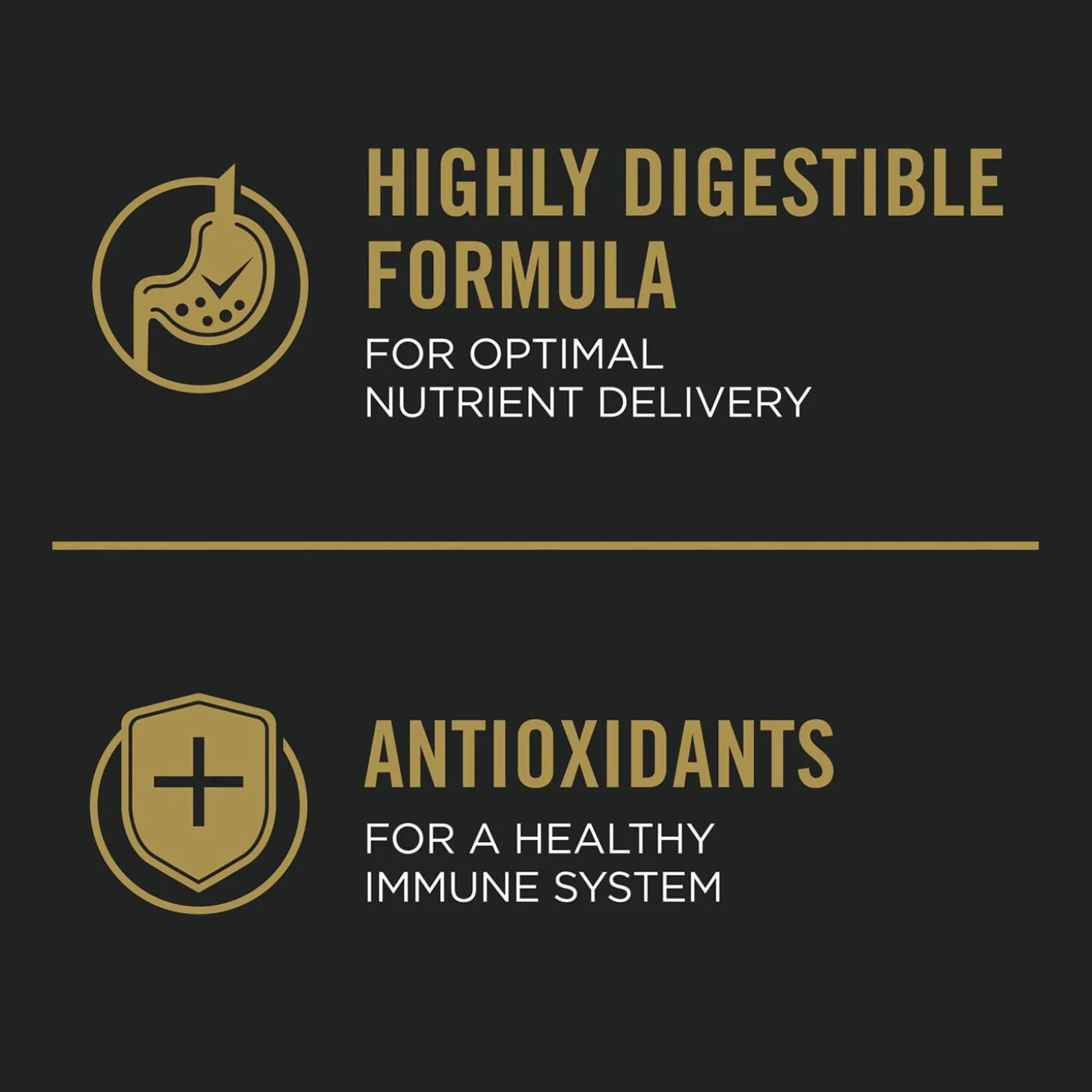 Complete Essentials Beef & Rice Formula Adult Dog Food
