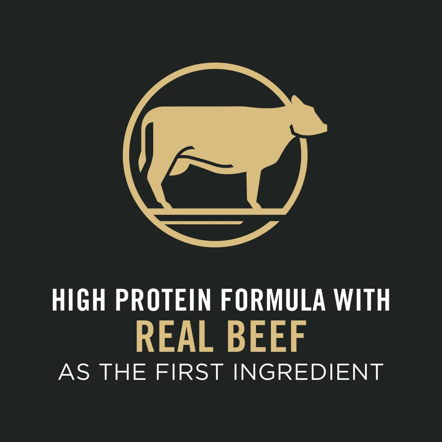 Complete Essentials Shredded Blend Beef & Rice Formula Adult Dog Food
