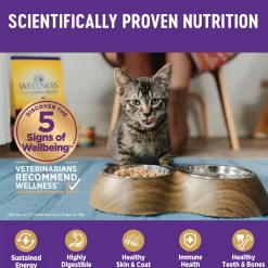 Complete Health Chicken Dinner Minced Adult Cat Food