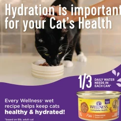 Complete Health Chicken & Lobster Pate Adult Cat Food