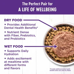 Complete Health Chicken & Lobster Pate Adult Cat Food