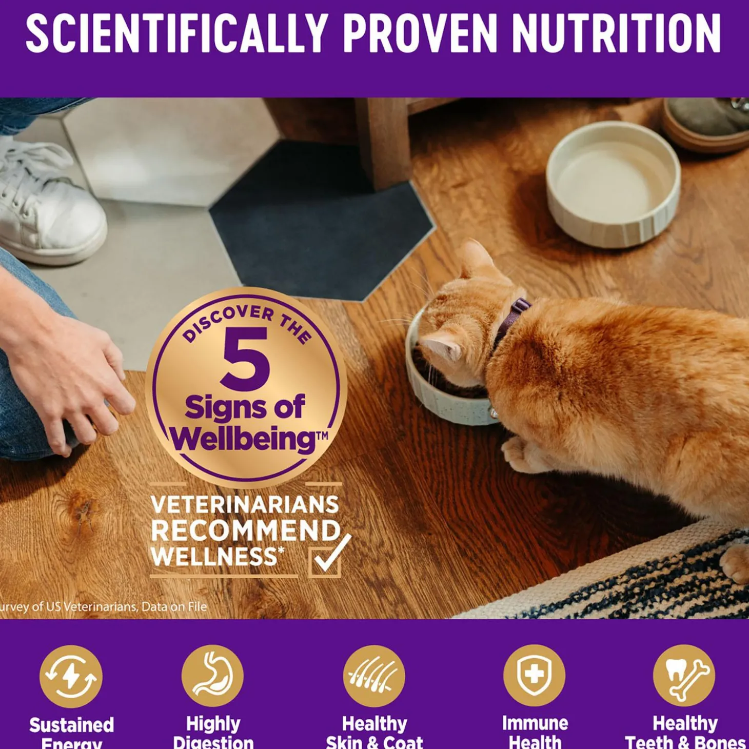 Complete Health Deboned Chicken & Chicken Meal Recipe Kitten Cat Food