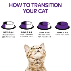 Complete Health Gravies Chicken Entree Adult Cat Food
