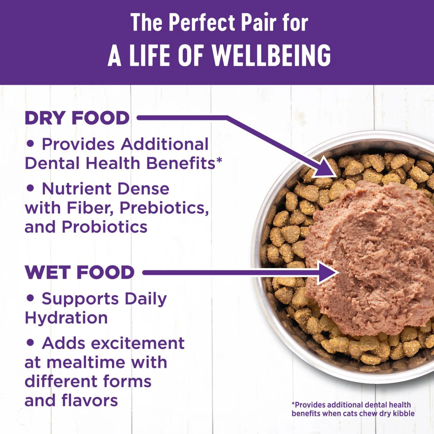 Complete Health Indoor Salmon & Herring Meal Recipe Adult Cat Food