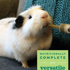 Critical Care Herbivore Papaya Flavour Fine Grind Feeding Formula