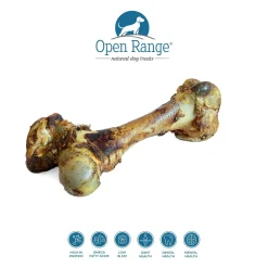 Cured Dino Bone