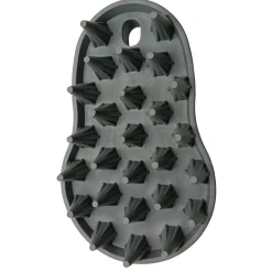 Curry Brush