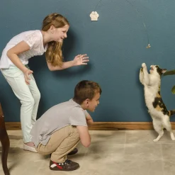 Deluxe Cat Toy