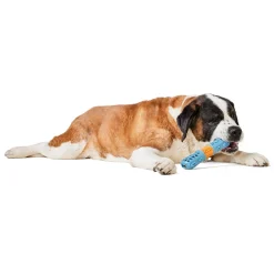 Dental Stick with Squeaker Purple Dog Toy