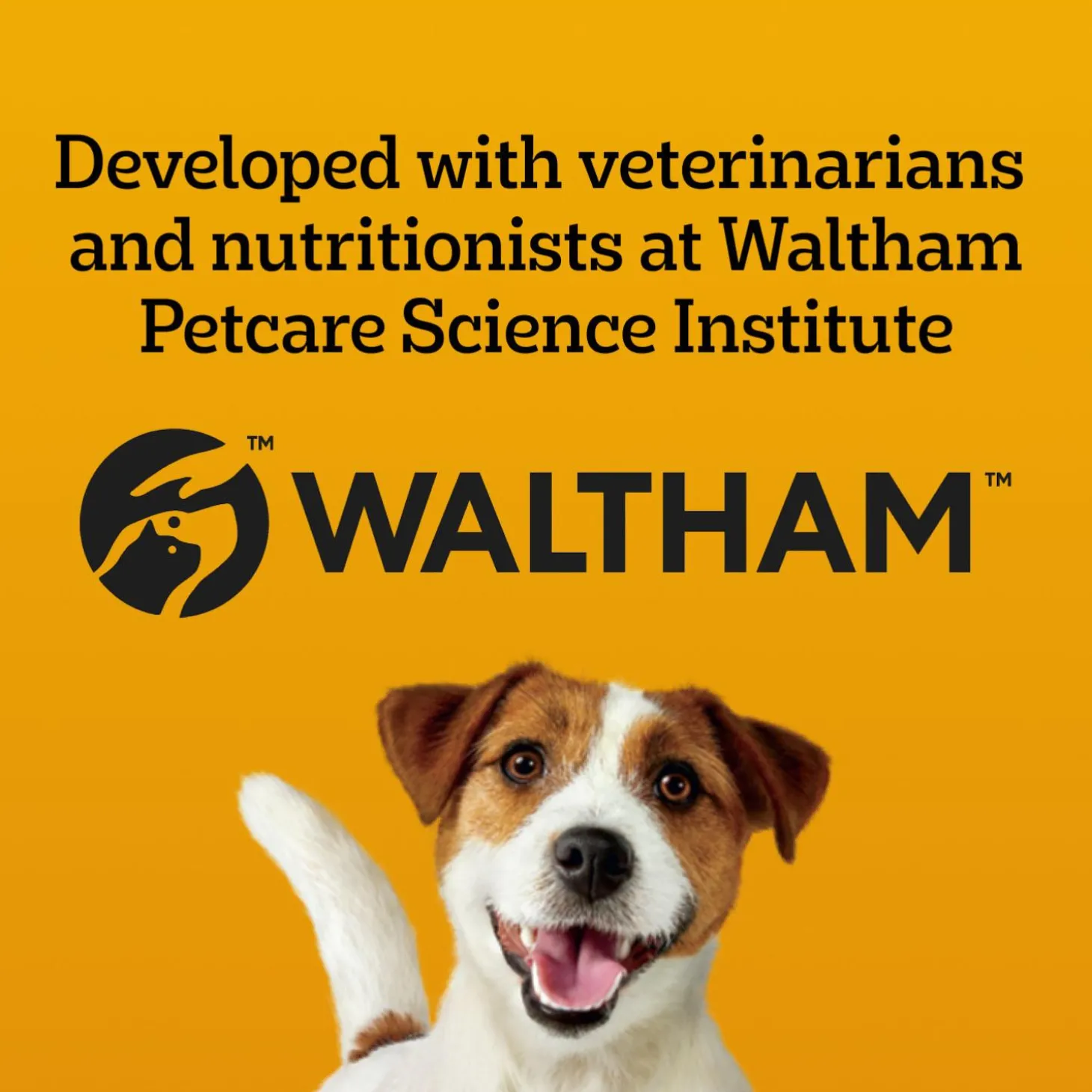 DENTASTIX Daily Original Small Breed Dog Treats