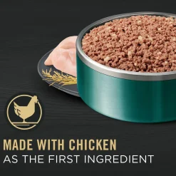 Development Classic Chicken & Rice Entree Puppy Dog Food