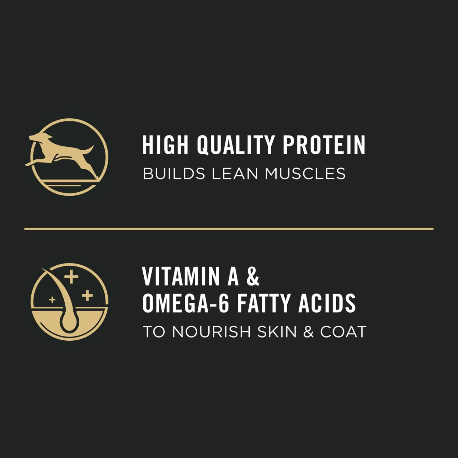 Development Lamb & Rice Formula Puppy Dog Food