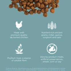 Digestion + Gut Health Chicken Recipe with Ancient Grains Cat Food