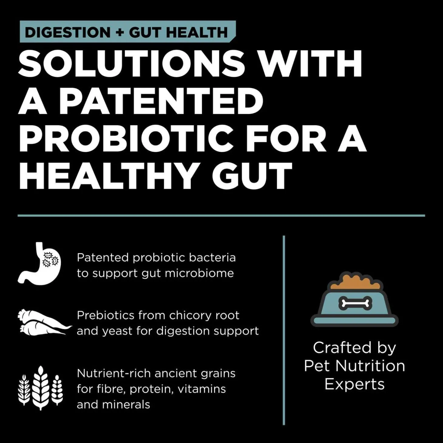 Digestion + Gut Health Chicken Recipe with Ancient Grains Dog Food