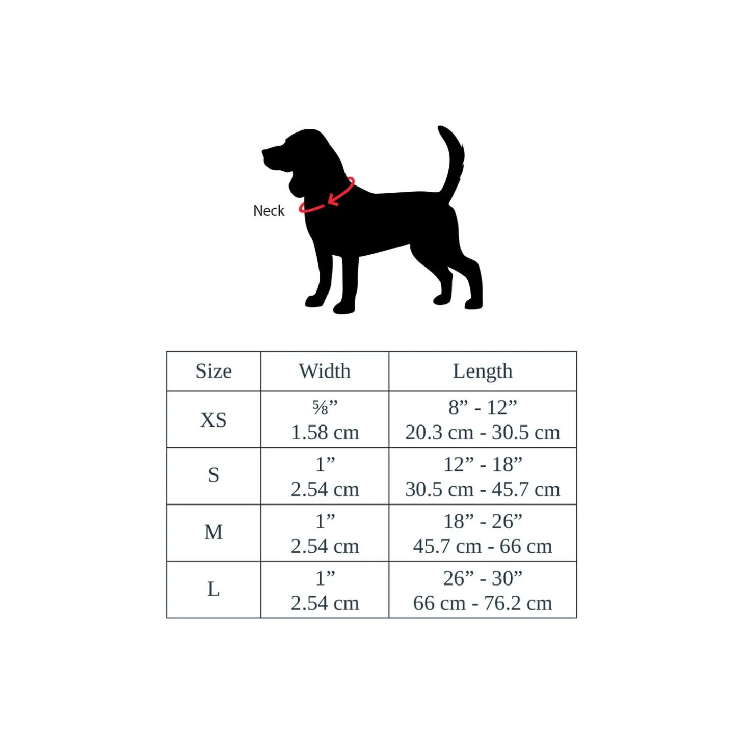 Discover Dog Reflective Adjustable Blue & Aqua Dog Collar